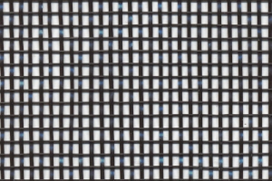 Shade Tree 55% shade cloth