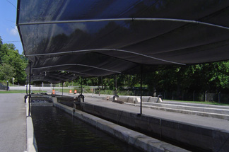 Shade Tree Shade cloth - fish hatchery shading