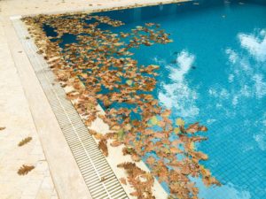 Pool Diaper™ keeps leaves off your pool